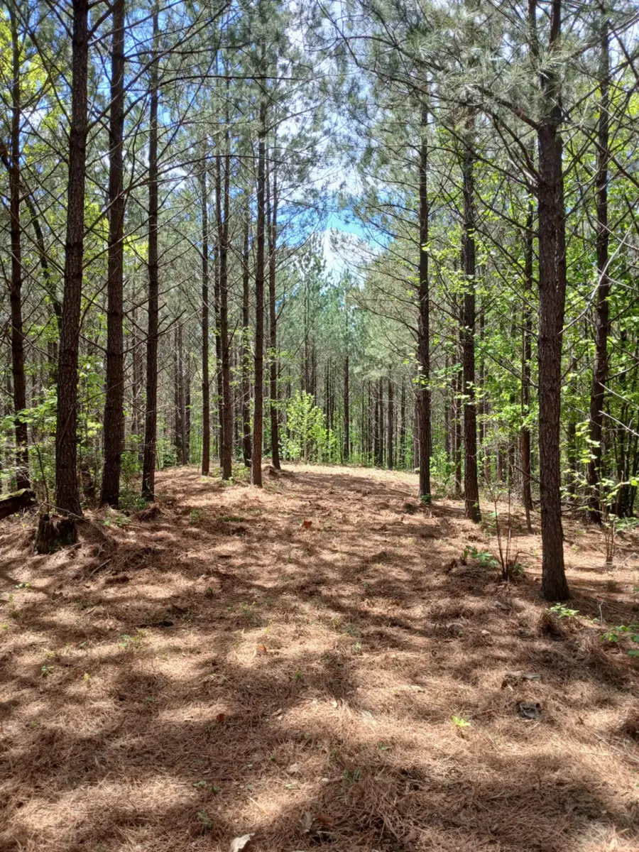 230 Juniper Dr, Linden, TN 37096 - Image #2