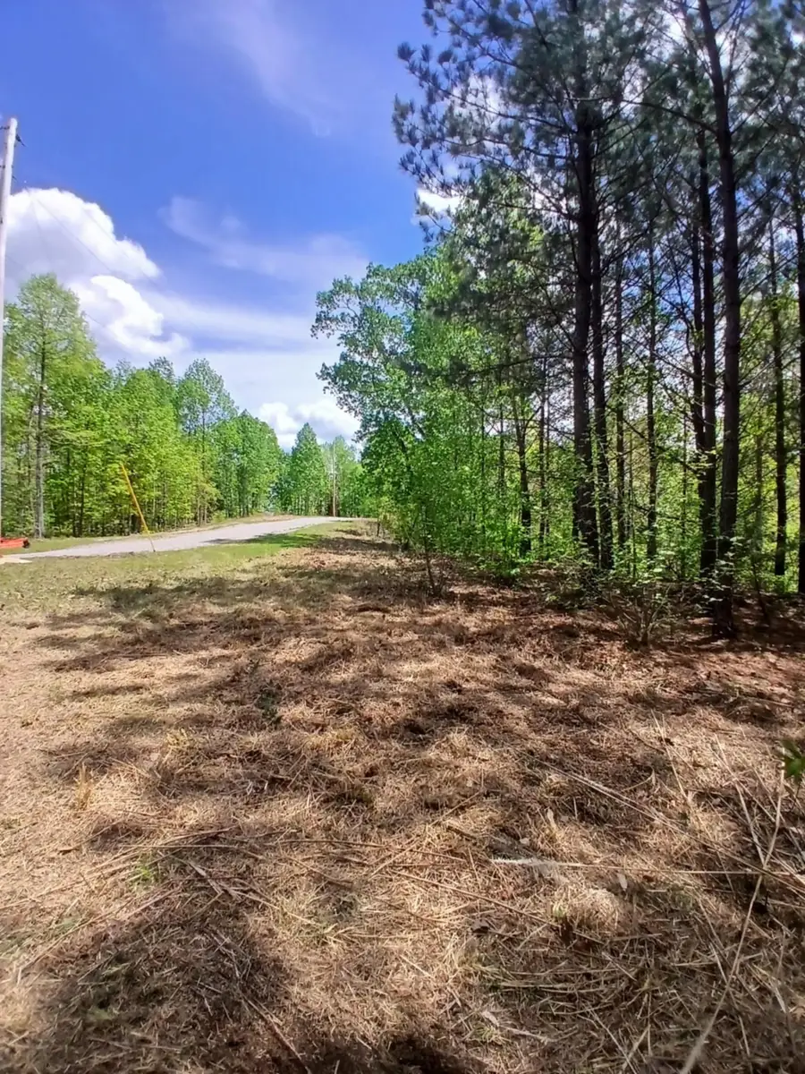 230 Juniper Dr, Linden, TN 37096 - Image #3