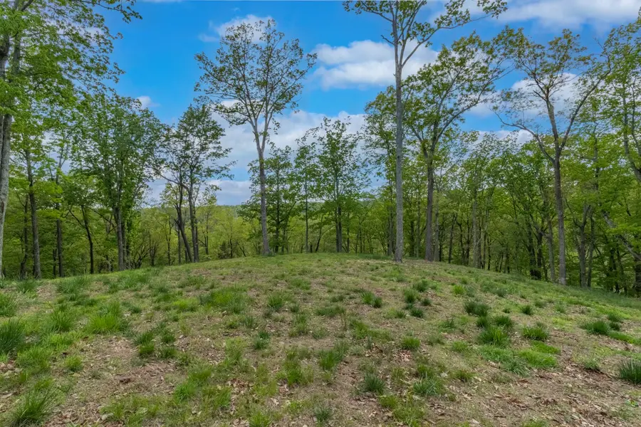 0 Love Branch Rd, Hampshire, TN 38461 - Image #2