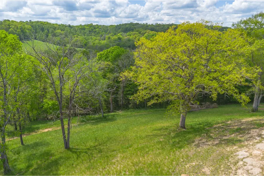 0 Love Branch Rd, Hampshire, TN 38461 - Image #3