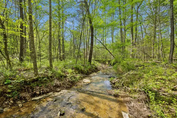 10924 Rials Branch Rd, Bon Aqua, TN 37025