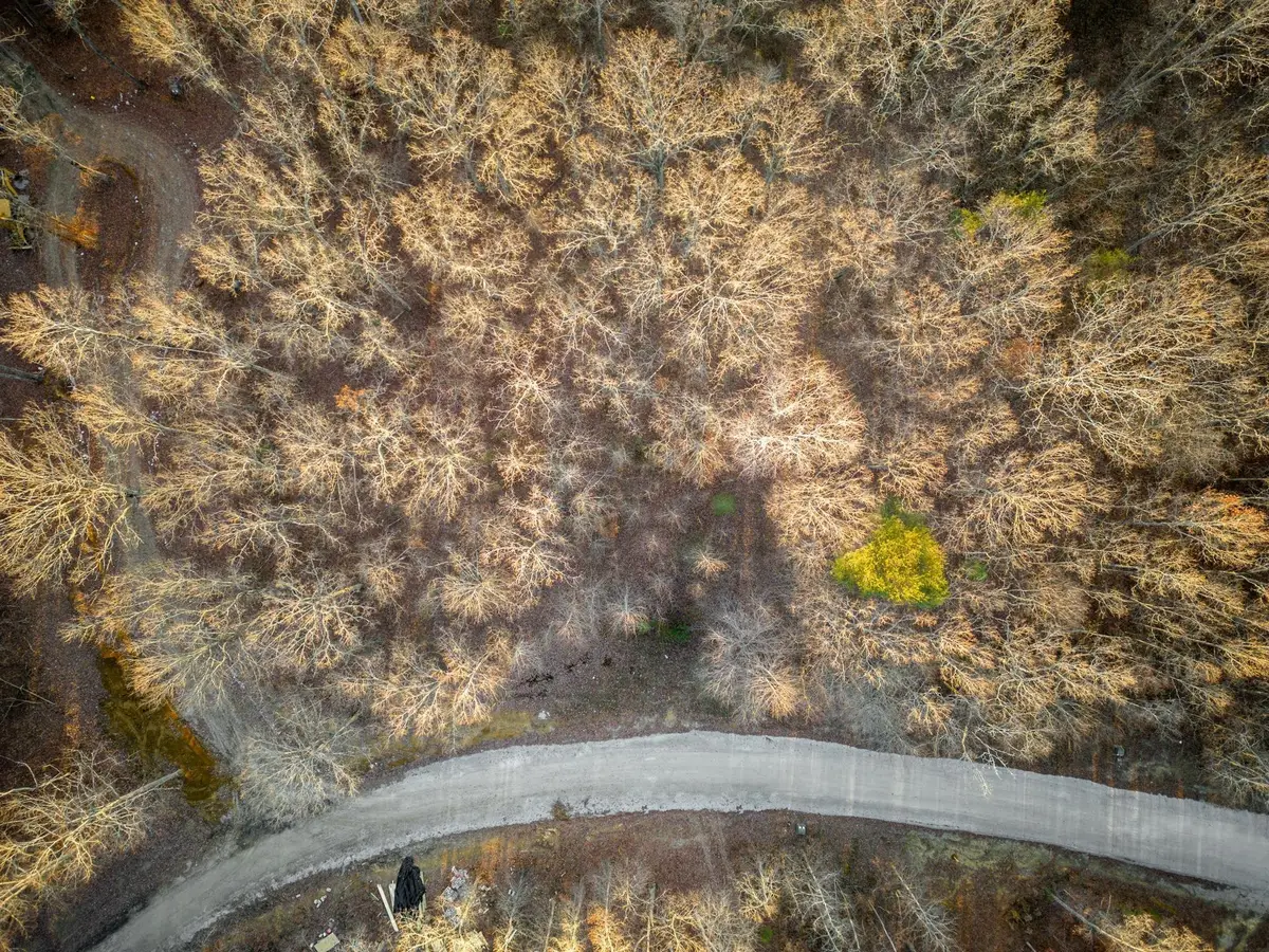 177 Sunset Bluff Way, Monteagle, TN 37356 - Image #1