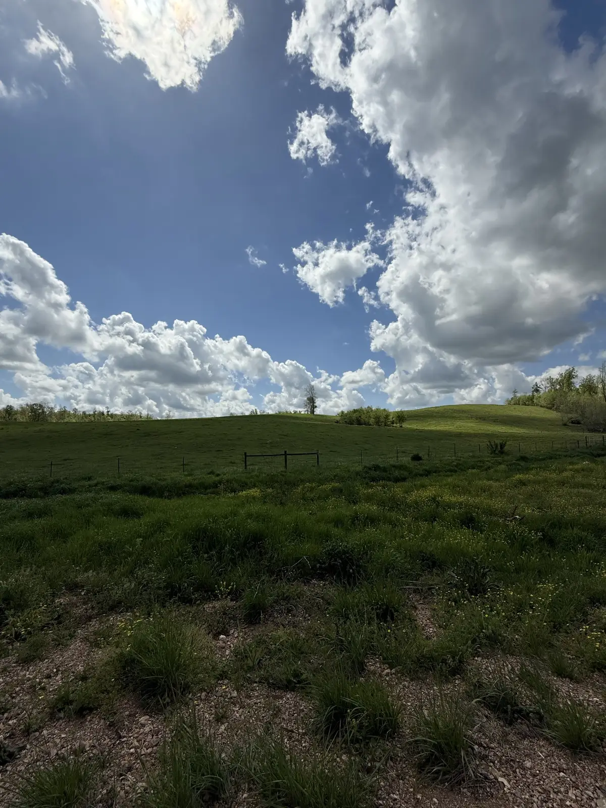 0 Brigham Branch Rd, Erin, TN 37061 - Image #1