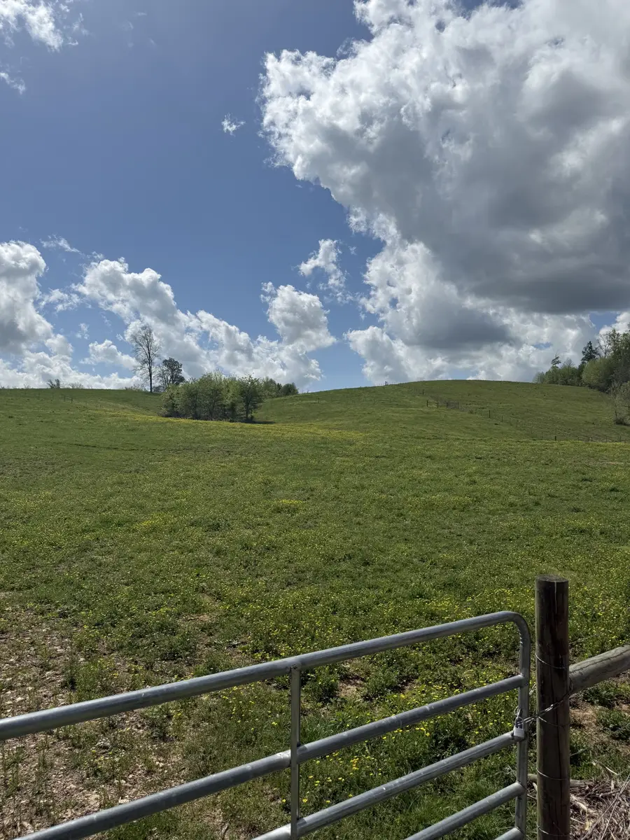 0 Brigham Branch Rd, Erin, TN 37061 - Image #3