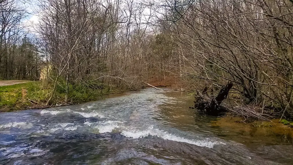 642 Goodman Branch Rd, Hohenwald, TN 38462 - Image #1