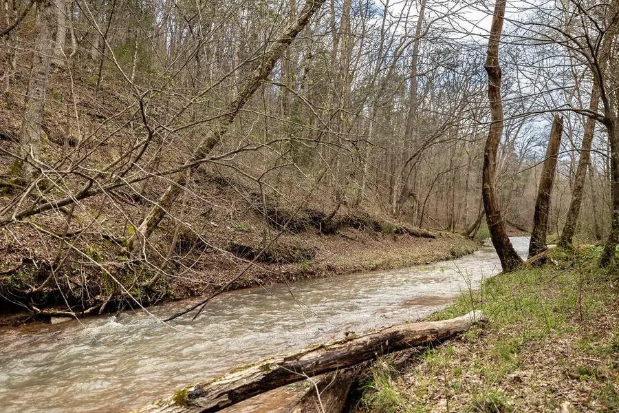 642 Goodman Branch Rd, Hohenwald, TN 38462 - Image #2