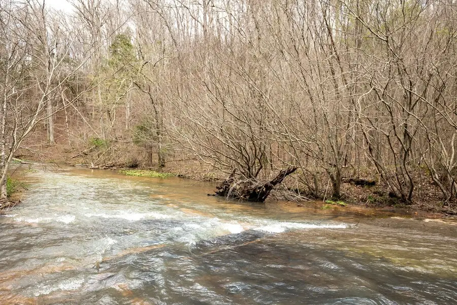 642 Goodman Branch Rd, Hohenwald, TN 38462 - Image #3