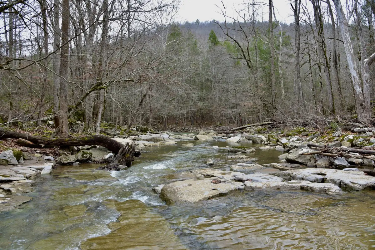 0 Coal Lane, Monterey, TN 38574 - Image #1