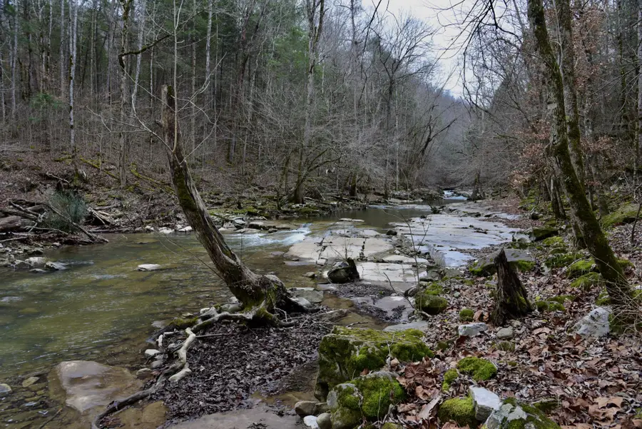 0 Coal Lane, Monterey, TN 38574 - Image #2