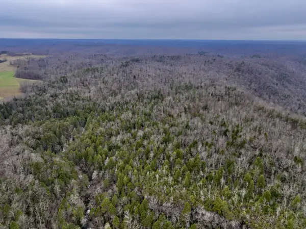 0 Coal Lane, Monterey, TN 38574