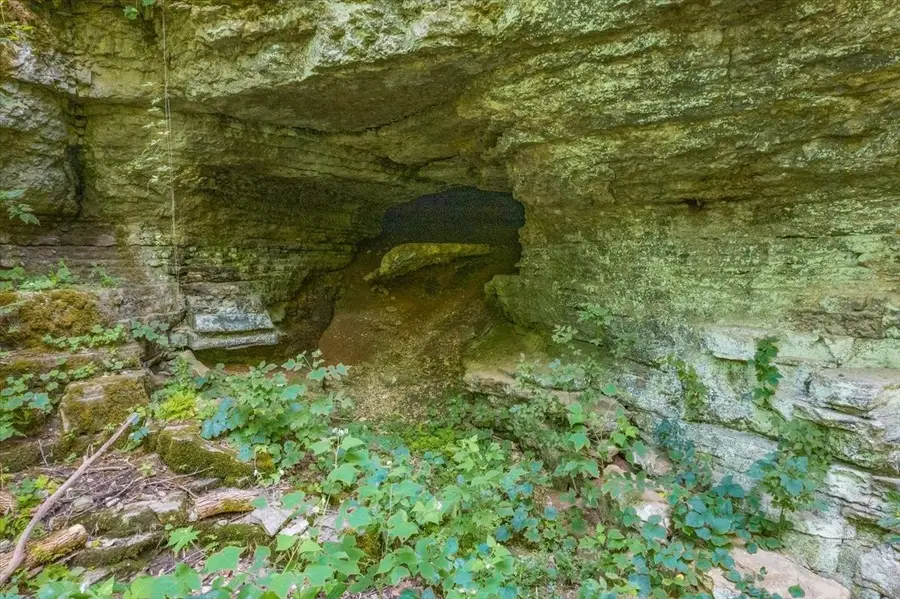 0 Burks Hollow Rd, Christiana, TN 37037 - Image #2