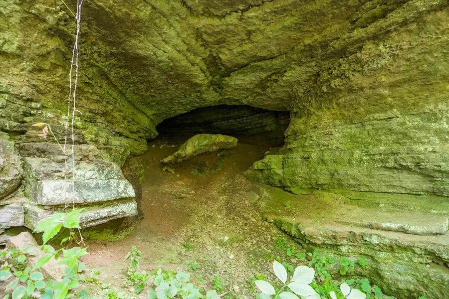 0 Burks Hollow Rd, Christiana, TN 37037 - Image #3