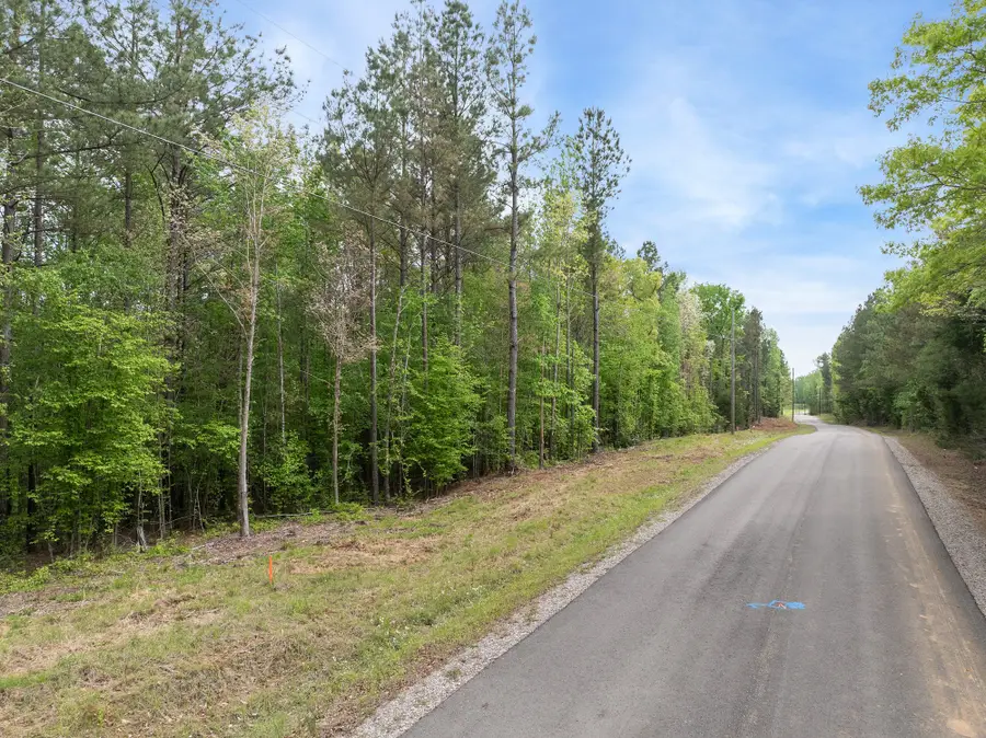 0 Curtis Hill Church Rd, Bethel Springs, TN 38315 - Image #2