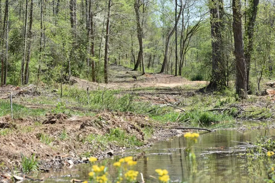0 Buckner Ridge Road, Bon Aqua, TN 37025 - Image #3