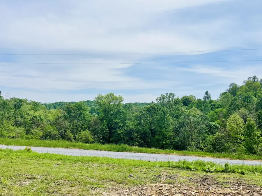 518 Beaver Lane, Gainesboro, TN 38562 - #3