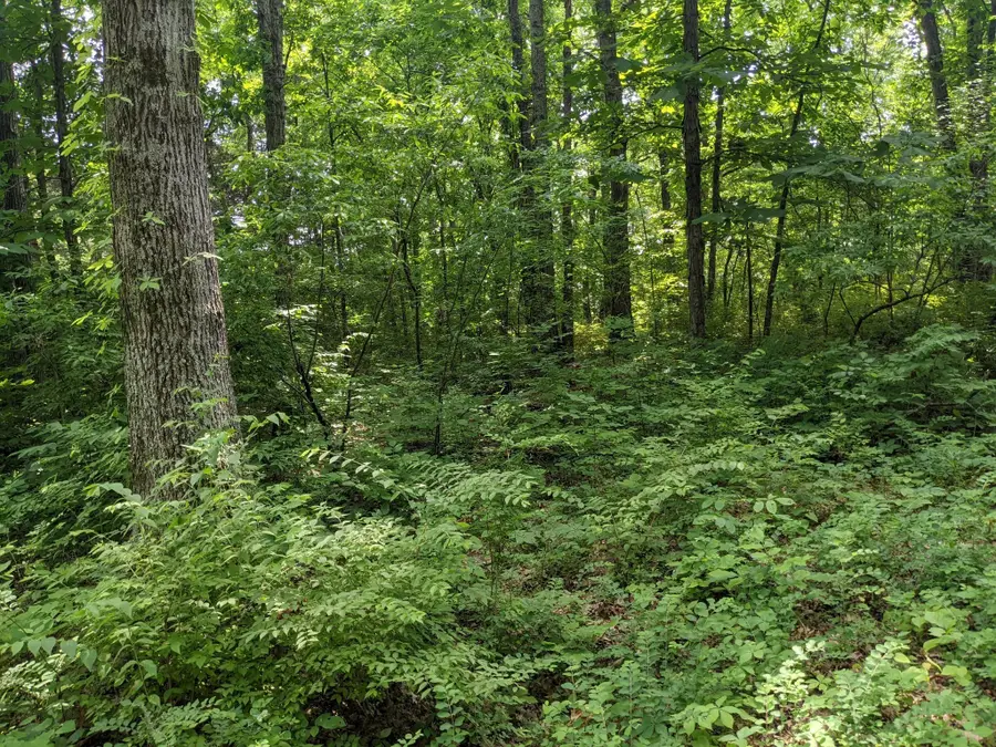 0 Bluff Road, Brentwood, TN 37027 - #2