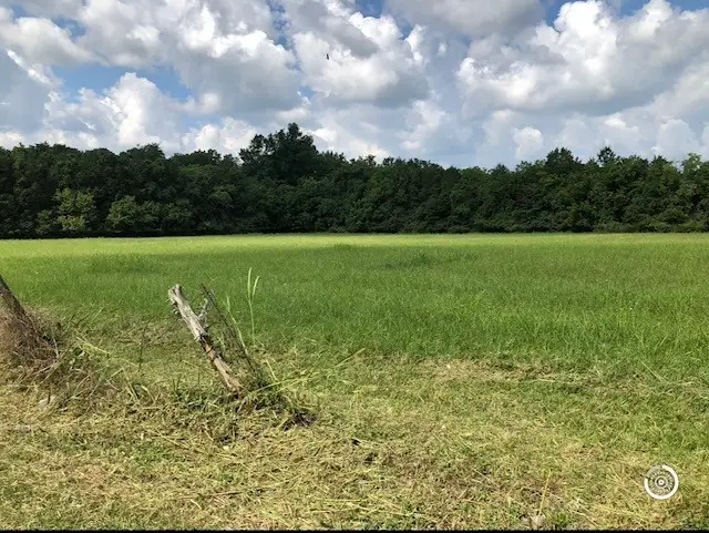 110 Morningside Drive, Mount Juliet, TN 37122 - #1