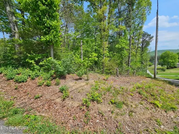 0 Sutherland Drive, Helenwood, TN 37755