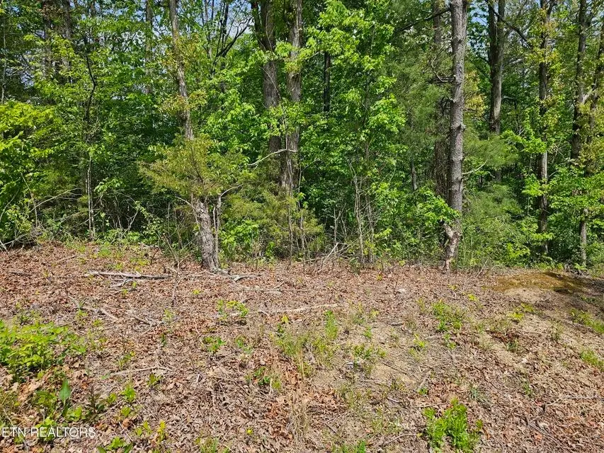 0 Sutherland Drive, Helenwood, TN 37755 - Image #3