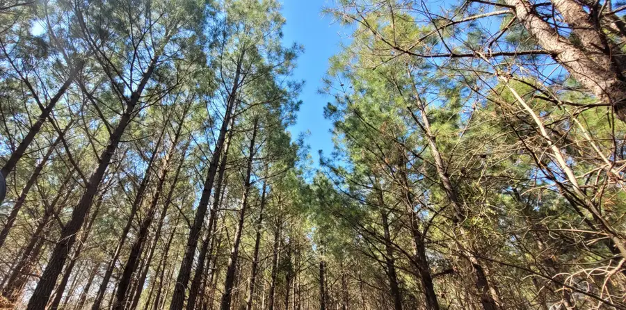 1 Saddleback Dr, Dover, TN 37058 - Image #3