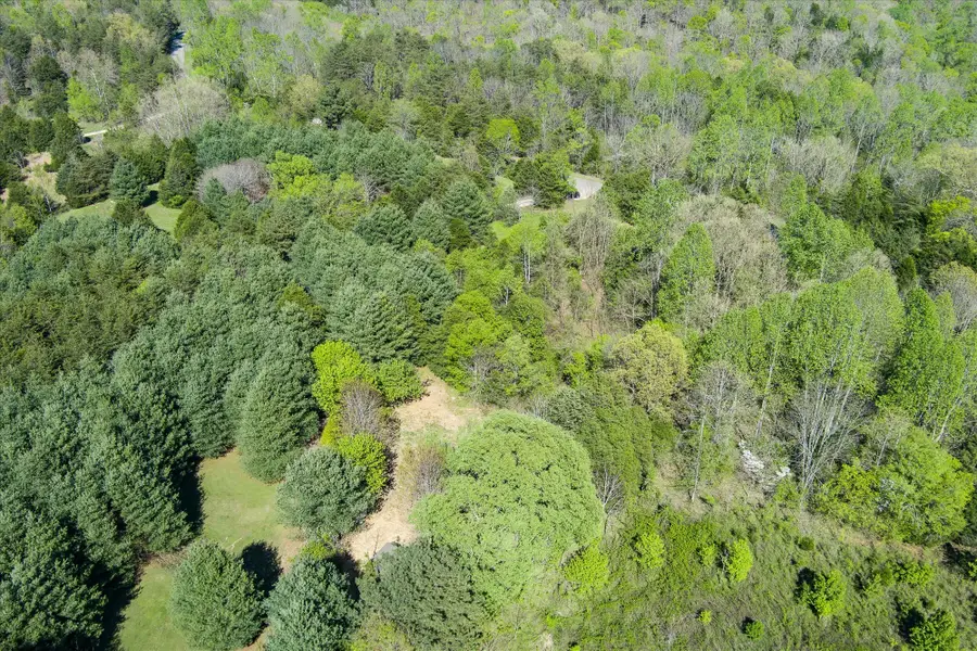 181 Uncle Happy Ln, Sparta, TN 38583 - Image #3