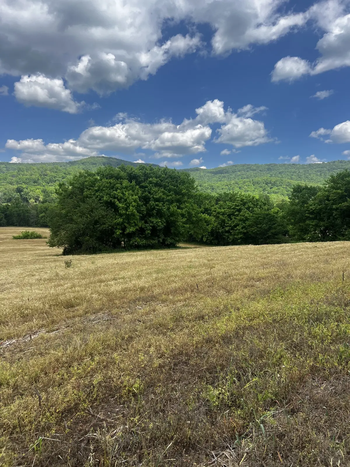 0 Hwy 285, Spencer, TN 38585 - Image #1