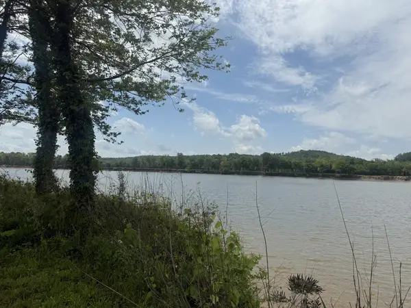 167 Hardin Bottom River Rd, Clifton, TN 38425