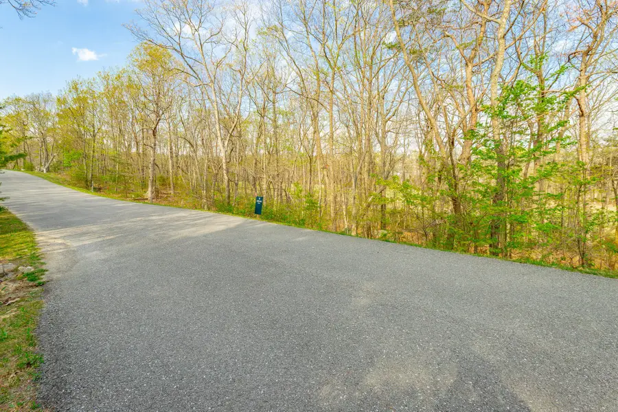 0 Old Rocky Trail, Rising Fawn, GA 30738 - Image #3