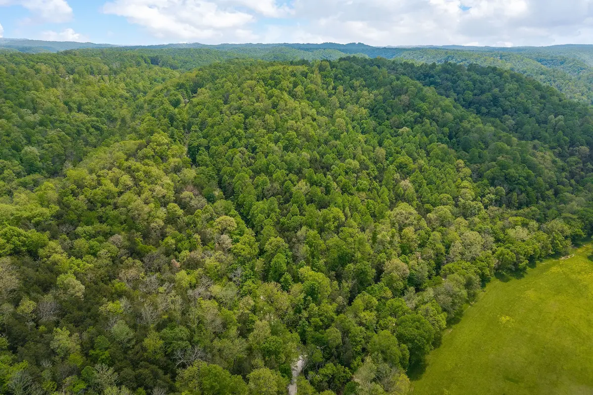 0 Red Bud Ln Tn, Hilham, TN 38568 - Image #1