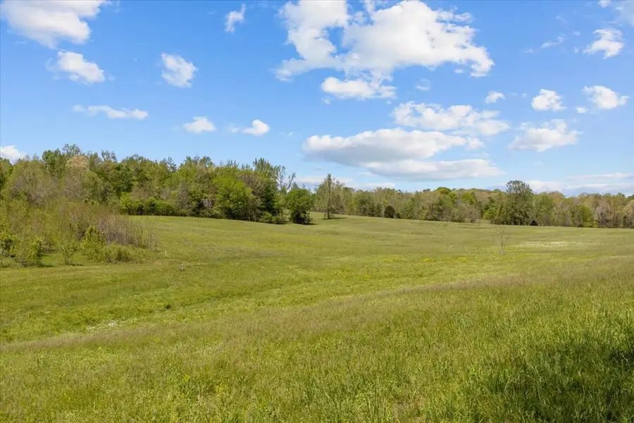 0 W Blue Creek Rd, Waverly, TN 37185 - Image #3