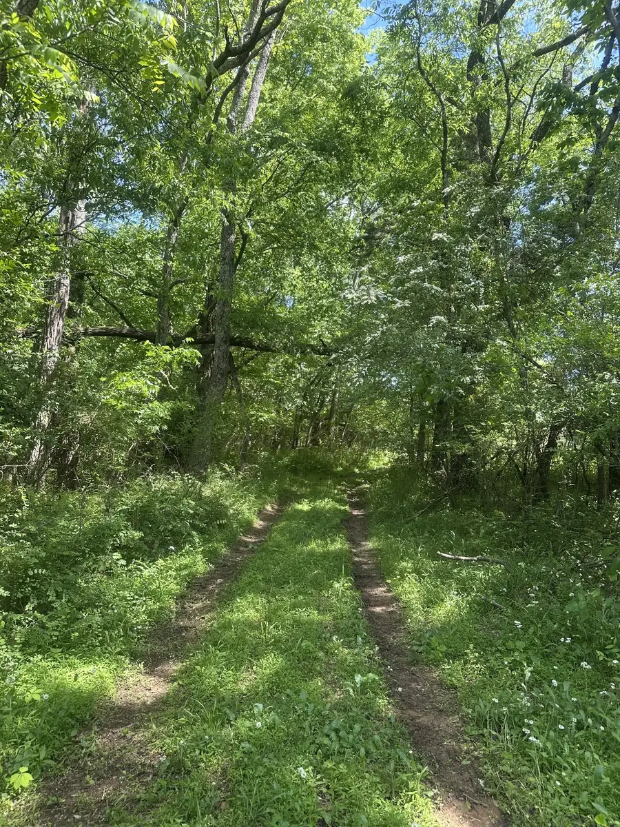 0 Greens Mill Rd, Spring Hill, TN 37174 - #2