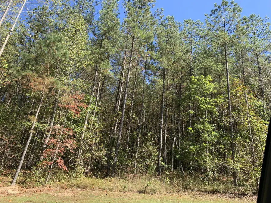 4910 Raulston Falls Road, Jasper, TN 37347 - Image #2