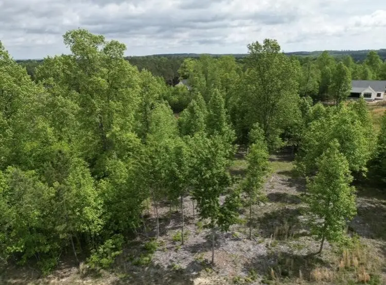 260 Cherokee Path, Jasper, TN 37347 - Image #1