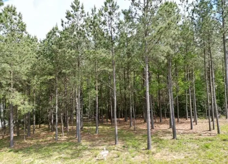 5140 Crockett Point, Jasper, TN 37347 - Image #3