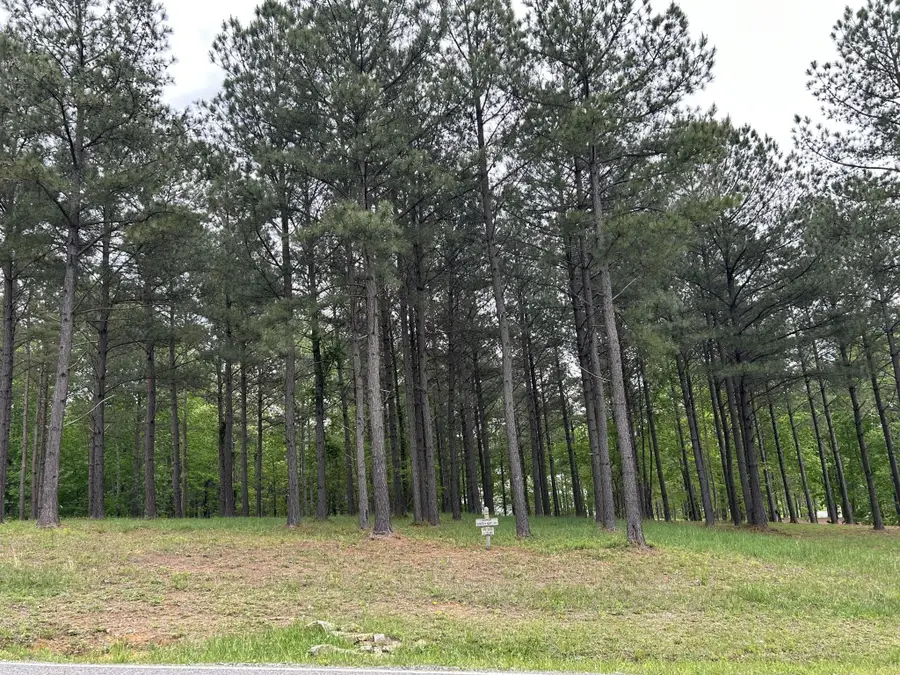 140 Foxtrot Lane, Jasper, TN 37347 - Image #3