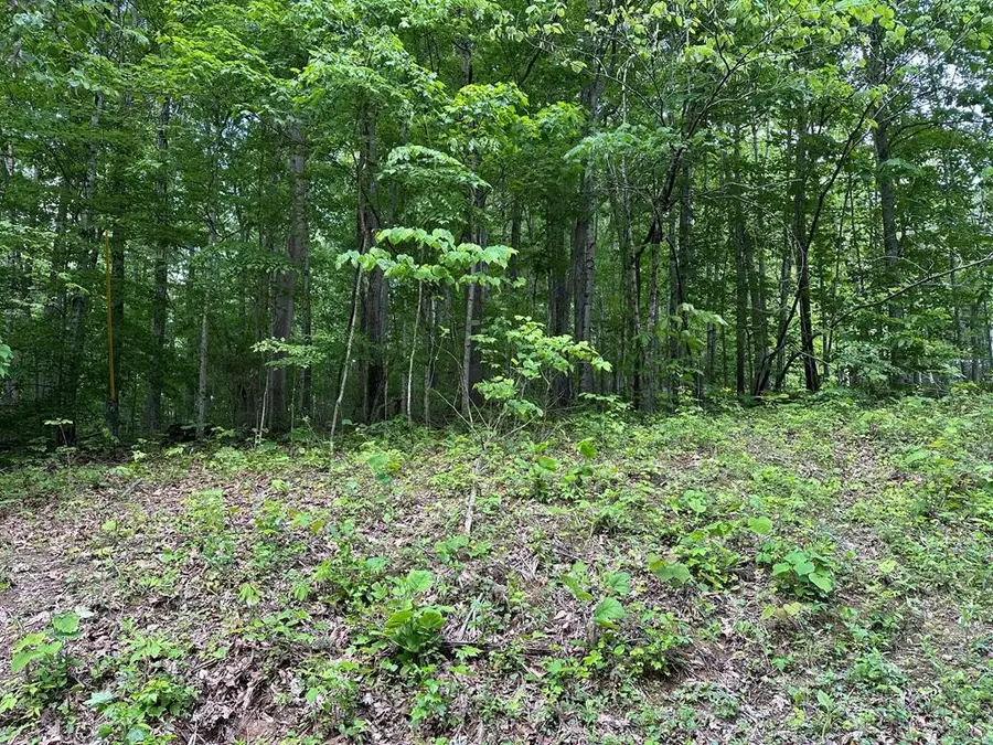 5757 Emerald Rd, Cookeville, TN 38501 - Image #3