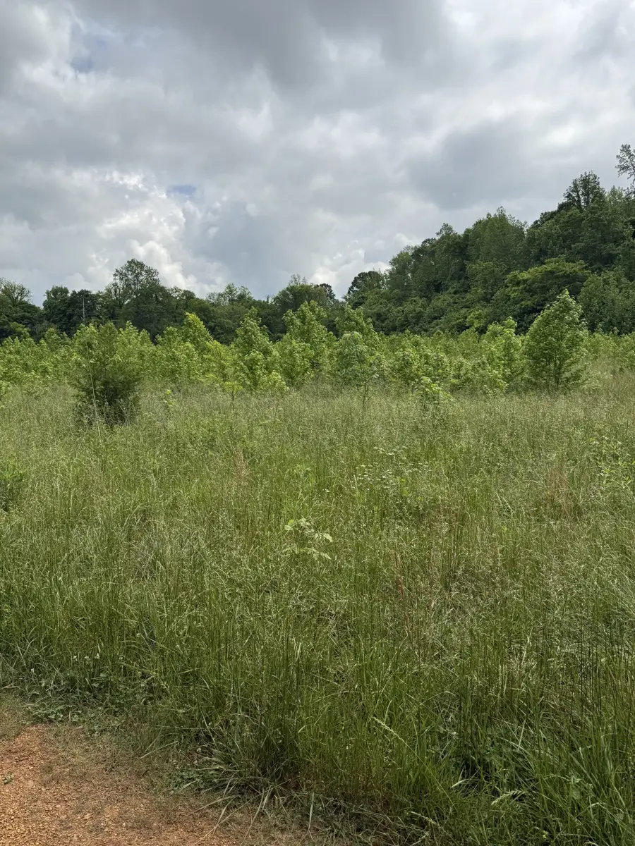 265 Lantern Ln, Olivehill, TN 38475 - Image #3