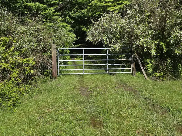 157 Highway, Rising Fawn, GA 30738