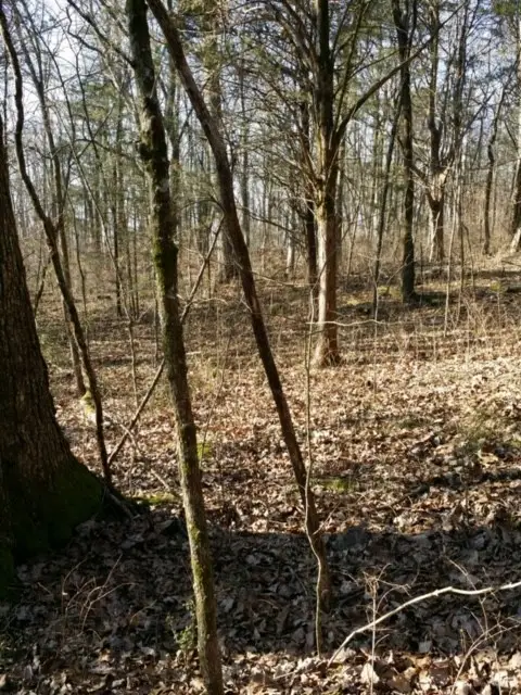 1529 Hyde Ln, Brentwood, TN 37027 - #2