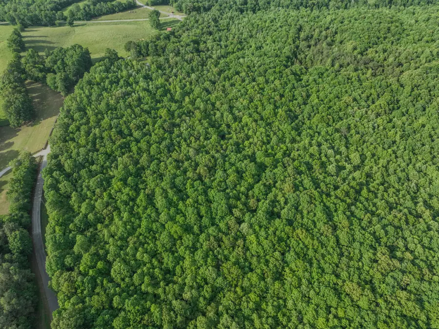 887 Waterloo Rd, Westpoint, TN 38486 - Image #3