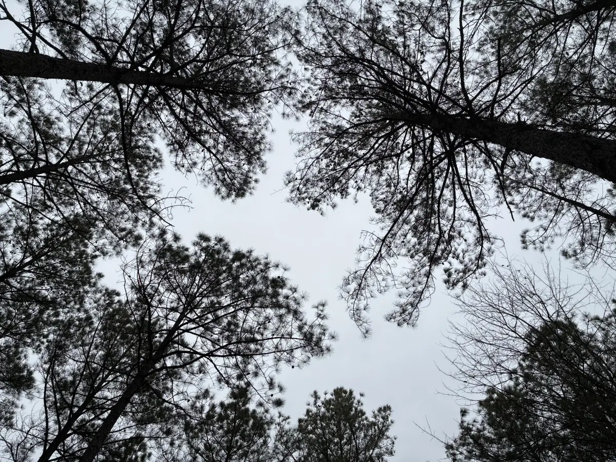 3715 Split Rail Way, Guild, TN 37340 - Image #1