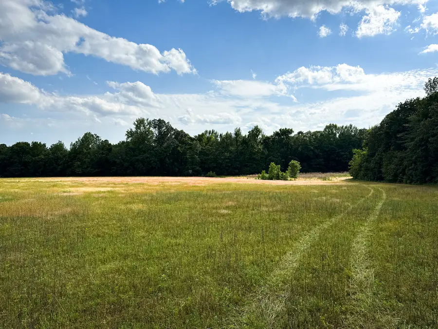 0 Glendale Rd, Morris Chapel, TN 38361 - Image #3