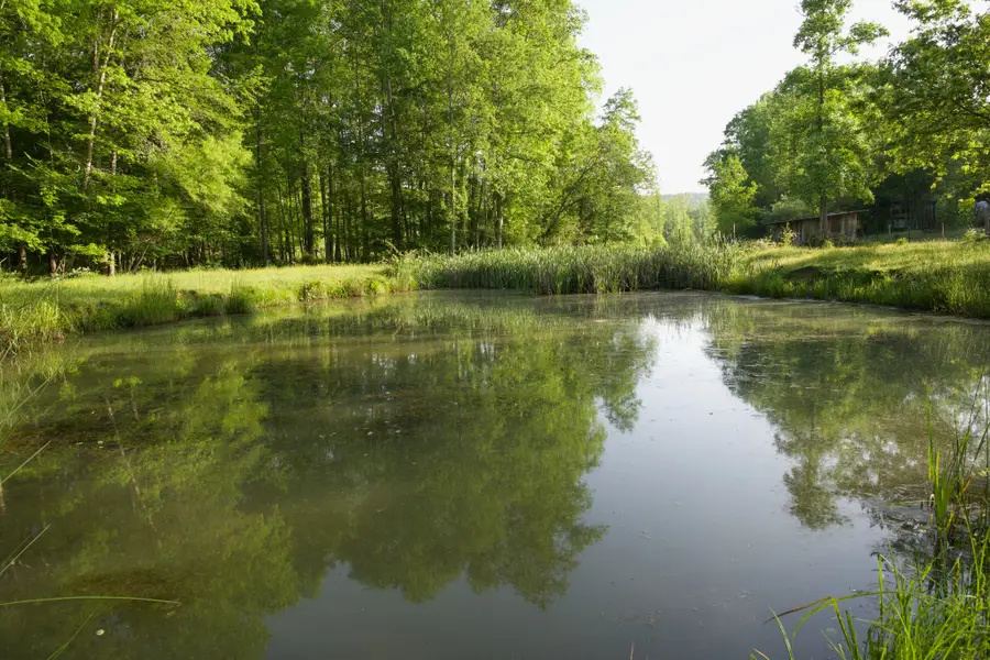 40A Barker Cove Loop, Palmer, TN 37365 - Image #3