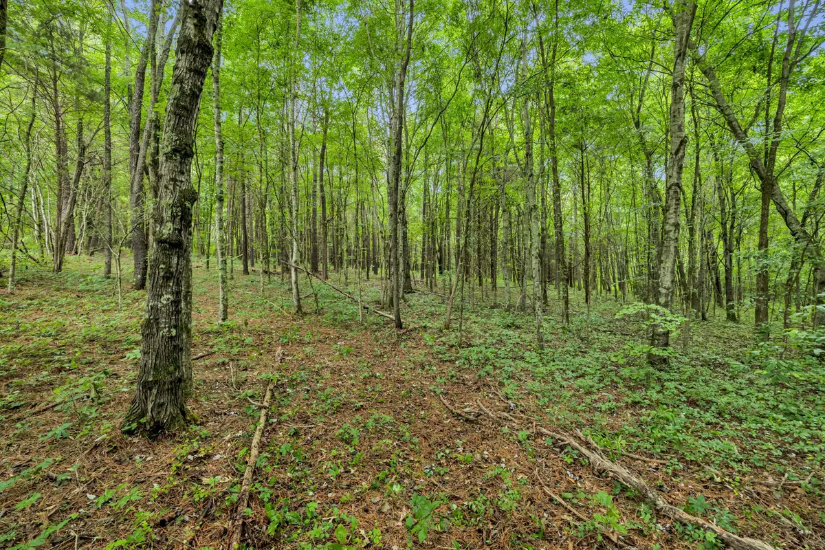 0 Eli Rd, Bon Aqua, TN 37025 - Image #1