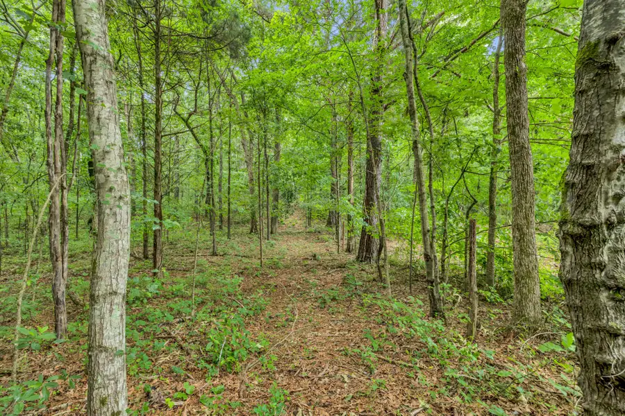 0 Eli Rd, Bon Aqua, TN 37025 - Image #2