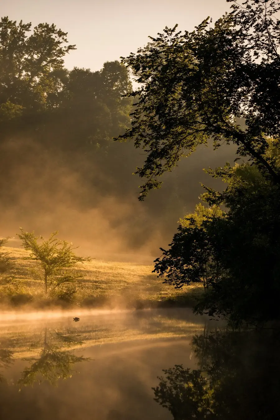 1462 Highway 48 S, Dickson, TN 37055 - Image #3