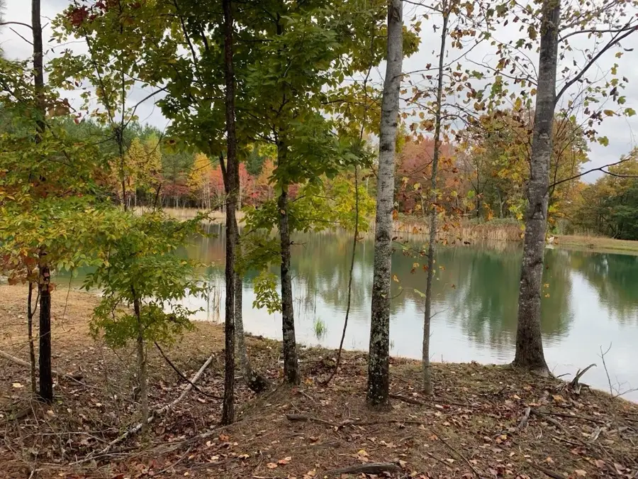 464 Moonlight Lane, Jasper, TN 37347 - Image #2