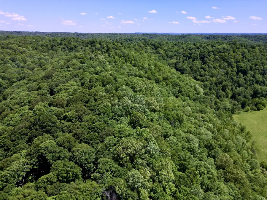 0 Big Marrrowbone Rd, Ashland City, TN 37015 - Image #2