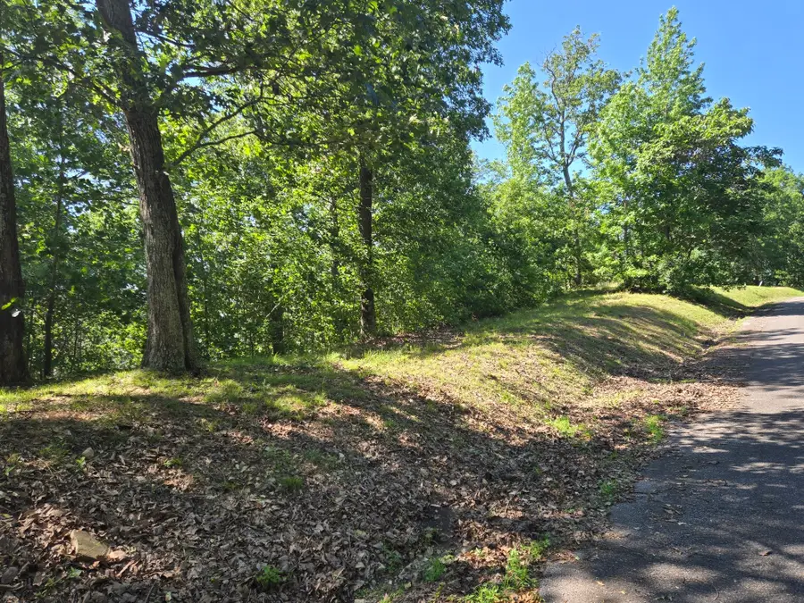 0 Sunset Ridge, Waverly, TN 37185 - Image #3