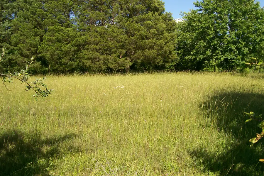 1028 Hennessee Bridge Rd, Rock Island, TN 38581 - Image #2